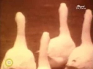 a still image from the film