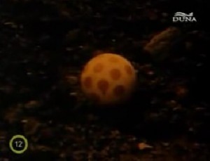 a still image from the film